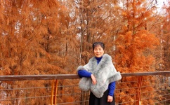 ER7.CC黑龙江监控视频